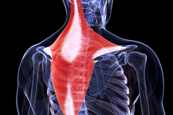 肩こりの改善に効果的な筋トレとは？