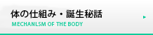 体の仕組み・誕生秘話